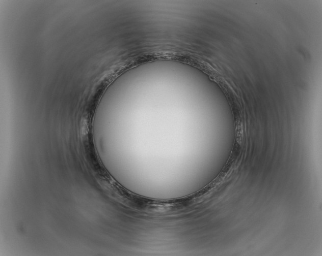 X0000113270472200909101314