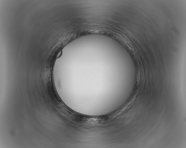 X0000113270473200909101314