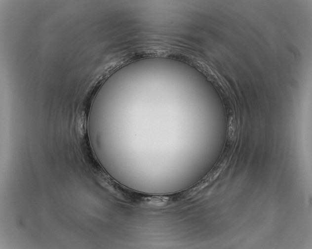X0000113270474200909101314