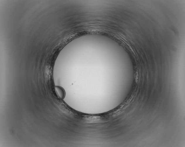 X0000113270476200909101314