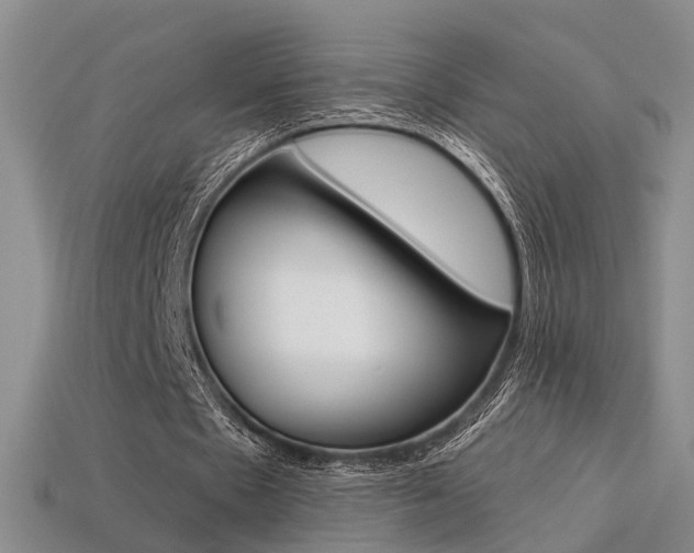 X0000113270481200909101314