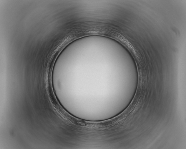 X0000113270482200909101314