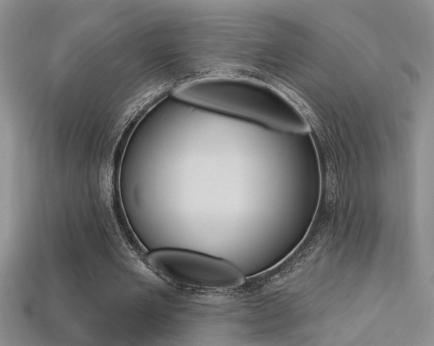 X0000113270485200909101314