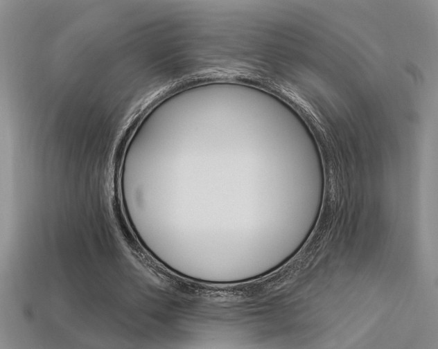 X0000113270486200909101314