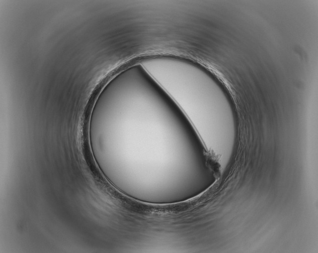 X0000113270487200909101314