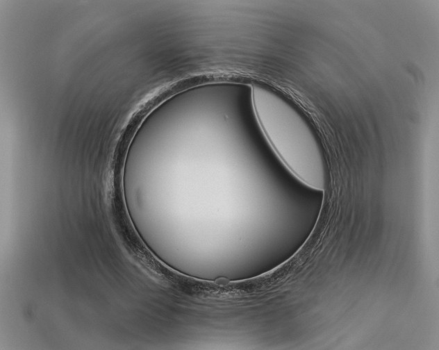 X0000113270488200909101314
