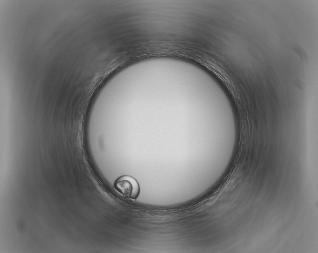 X0000113270489200909101314