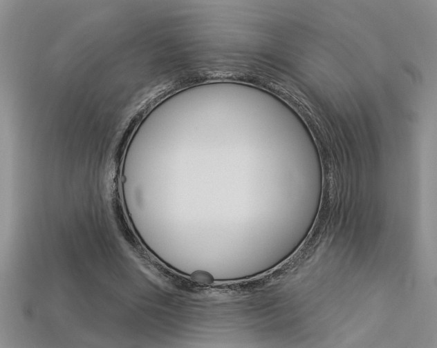 X0000113270490200909101314
