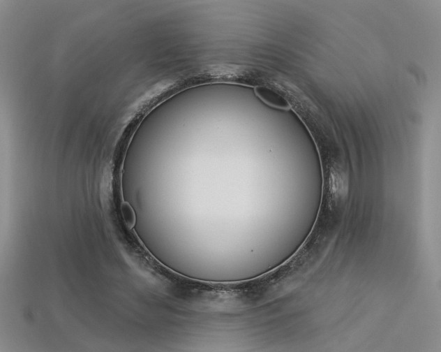 X0000113270492200909101314