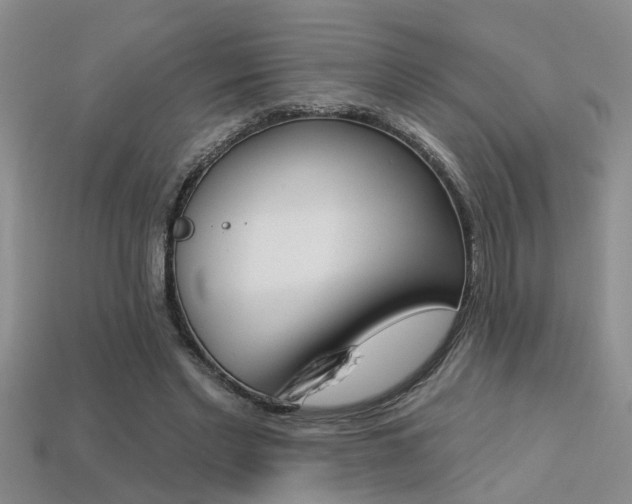 X0000113270493200909101314