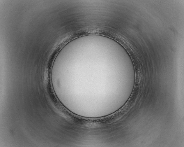 X0000113270494200909101314