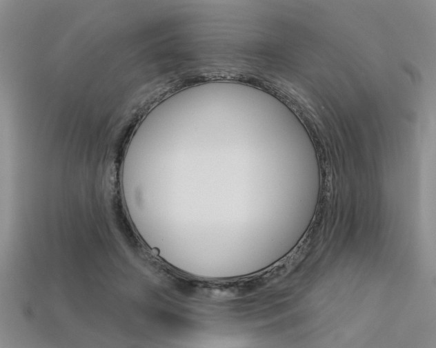 X0000113270498200909101314