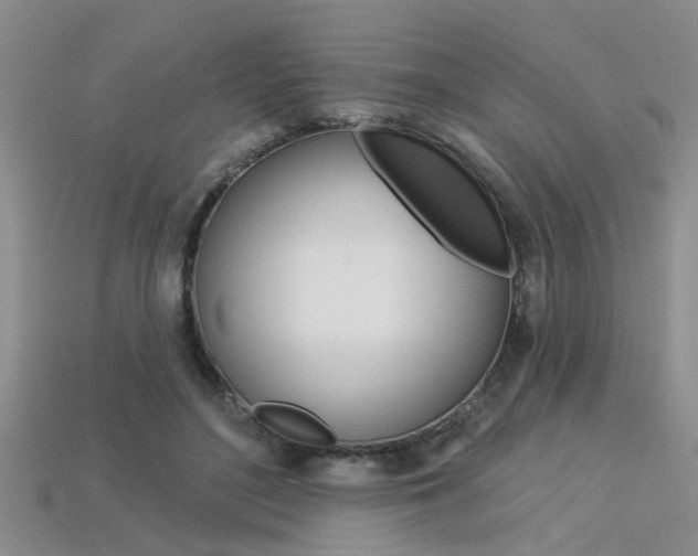 X0000113270500200909101314