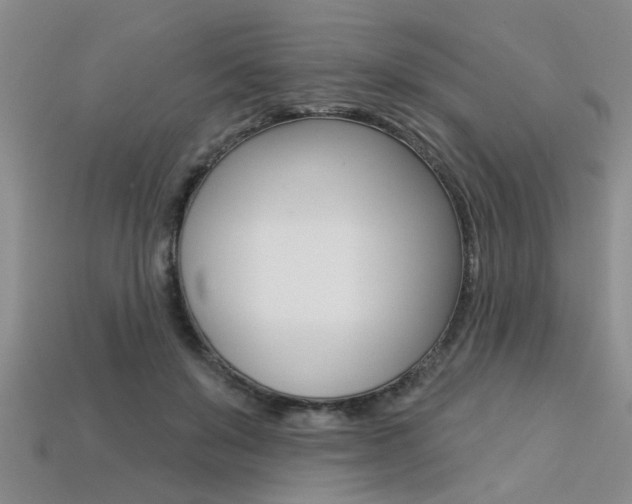 X0000113270503200909101313
