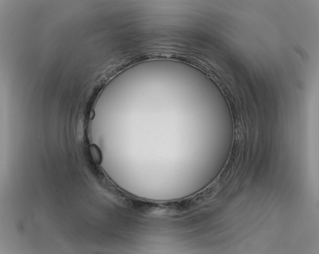 X0000113270504200909101313