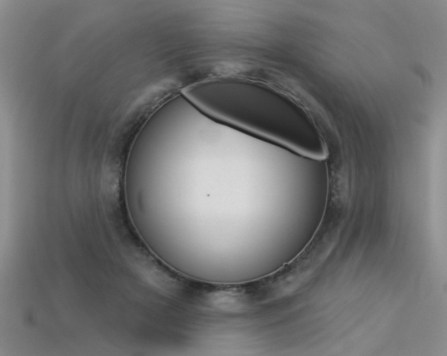 X0000113270505200909101313