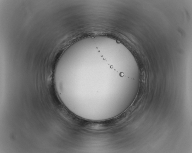 X0000113270507200909101313