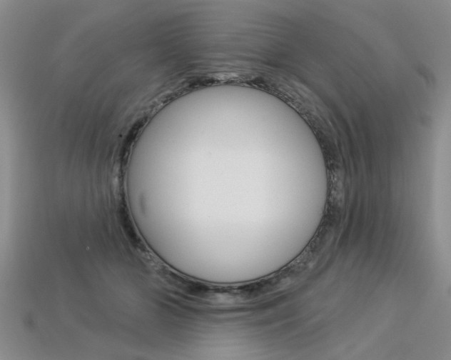 X0000113270510200909101313