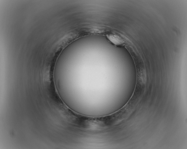 X0000113270512200909101313