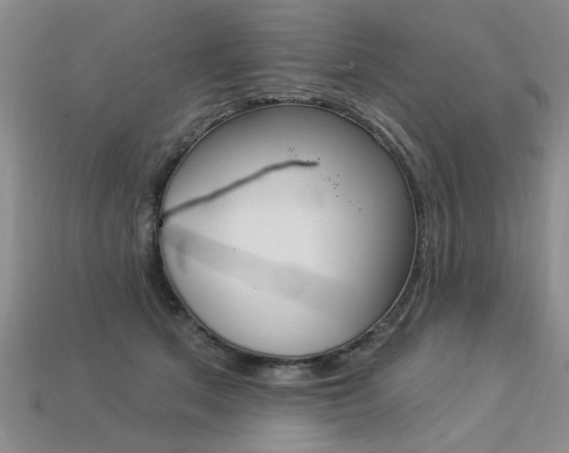 X0000113270513200909101313