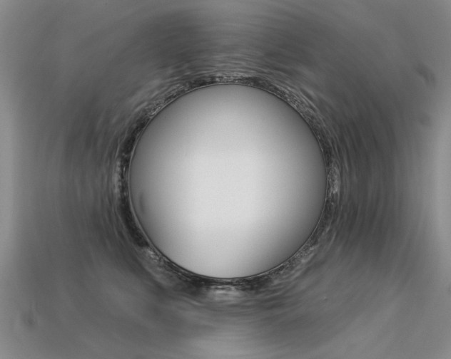X0000113270519200909101313