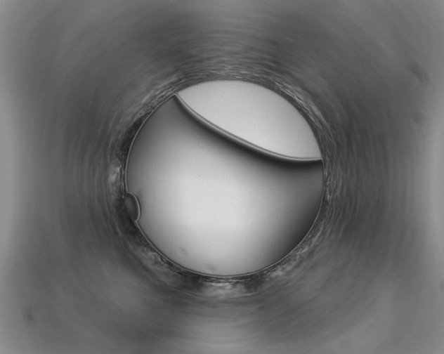 X0000113270521200909101313
