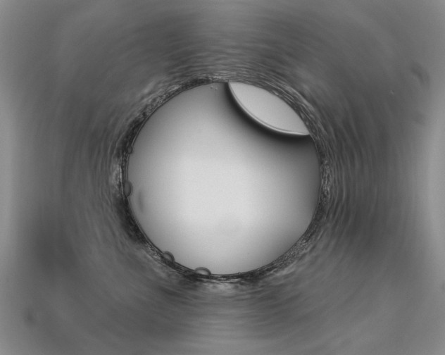 X0000113270523200909101313