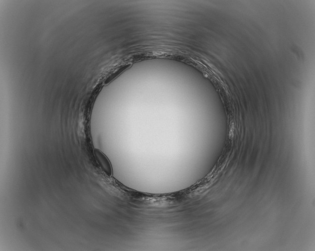 X0000113270524200909101313