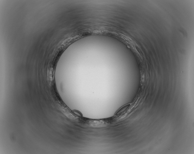 X0000113270525200909101313