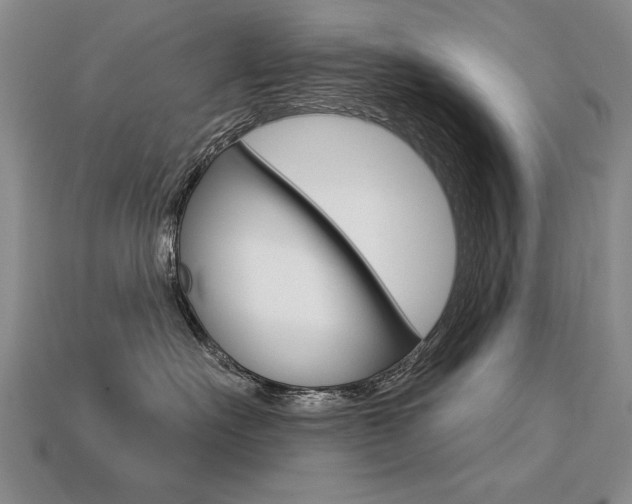 X0000113270527200909101313