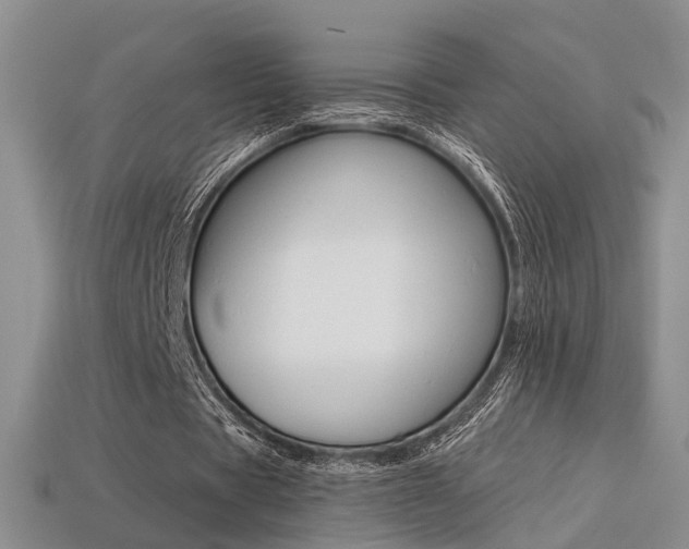 X0000113270529200909101313