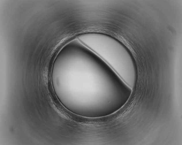 X0000113270530200909101313