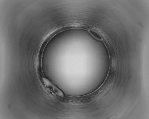 X0000113270532200909101313
