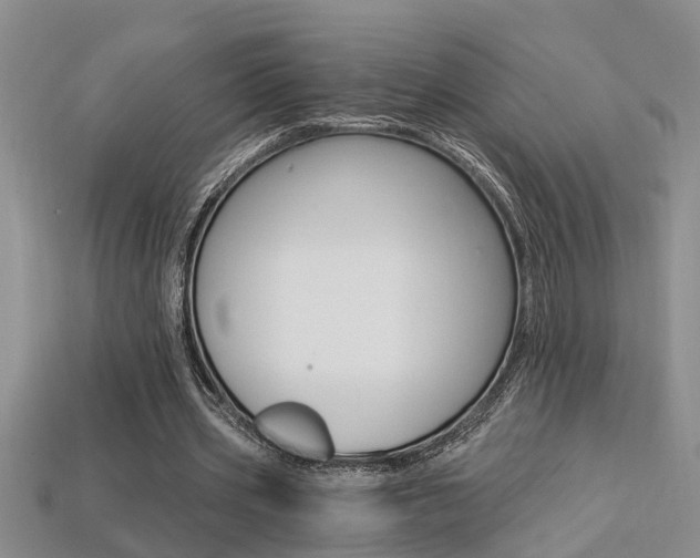X0000113270533200909101313