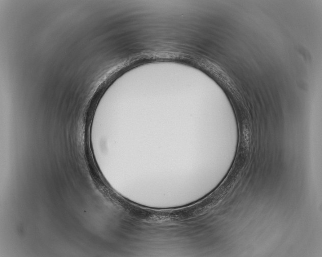 X0000113270534200909101313