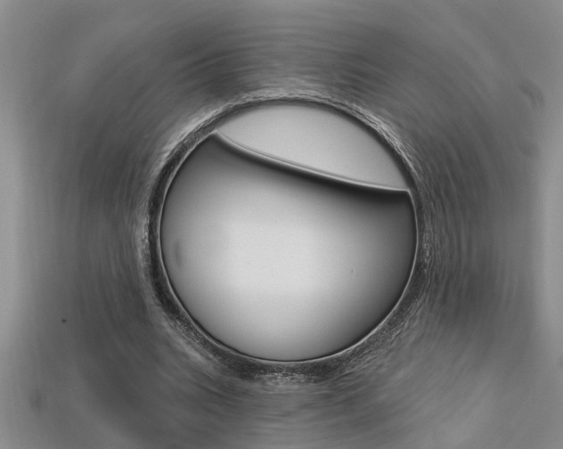 X0000113270535200909101313
