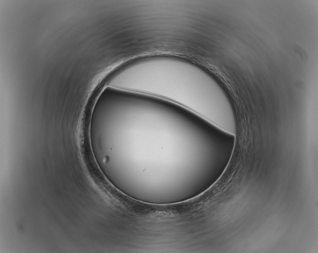 X0000113270536200909101313