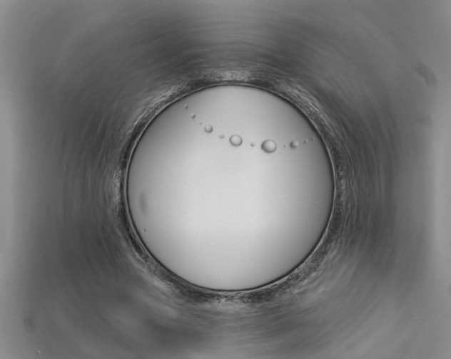 X0000113270537200909101313