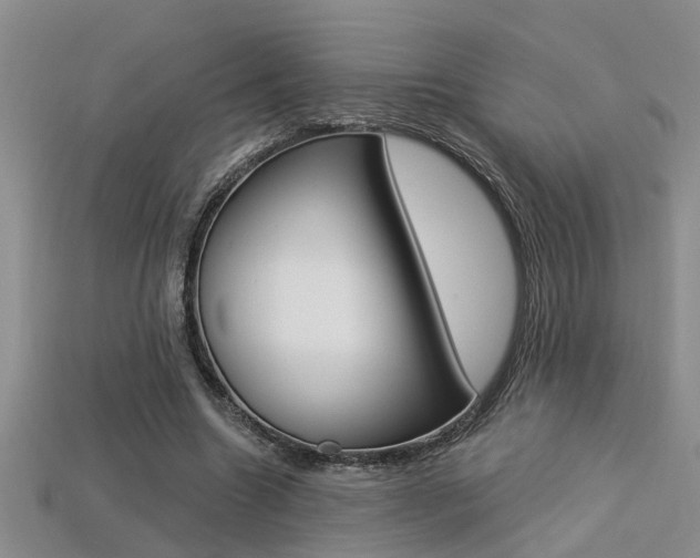 X0000113270538200909101313