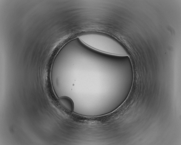 X0000113270539200909101313