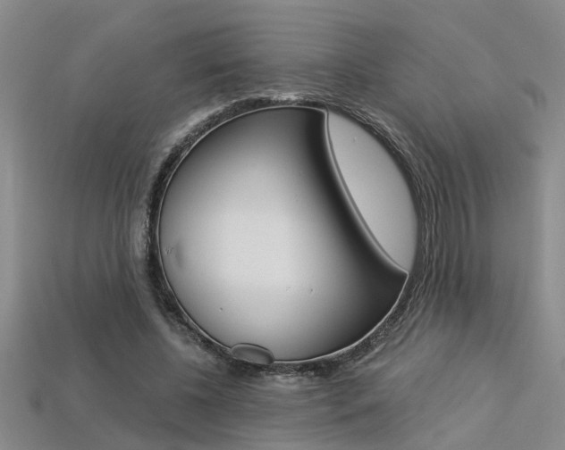 X0000113270540200909101313