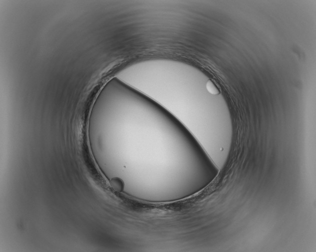 X0000113270542200909101313