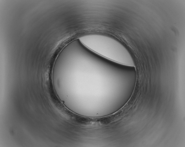 X0000113270543200909101313