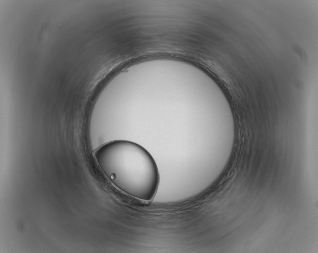 X0000113270544200909101313