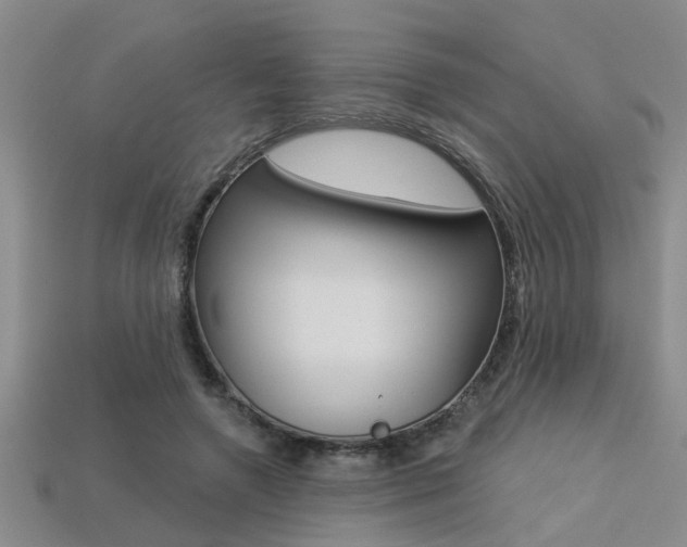X0000113270546200909101313