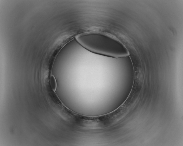 X0000113270548200909101313