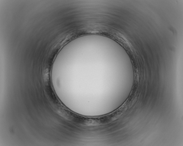 X0000113270549200909101313