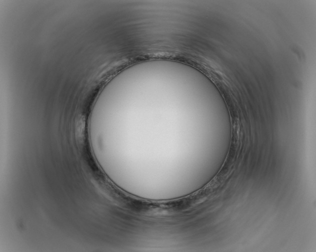 X0000113270550200909101313