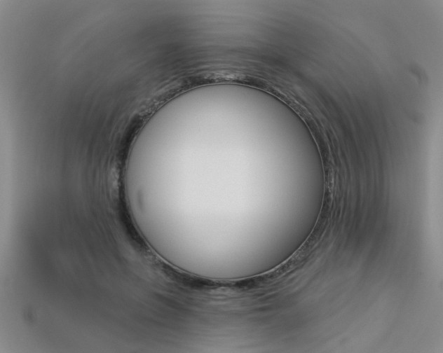 X0000113270551200909101313