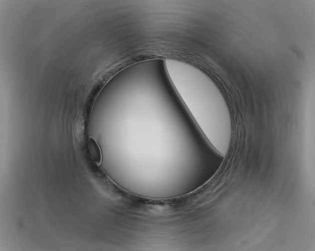 X0000113270552200909101313